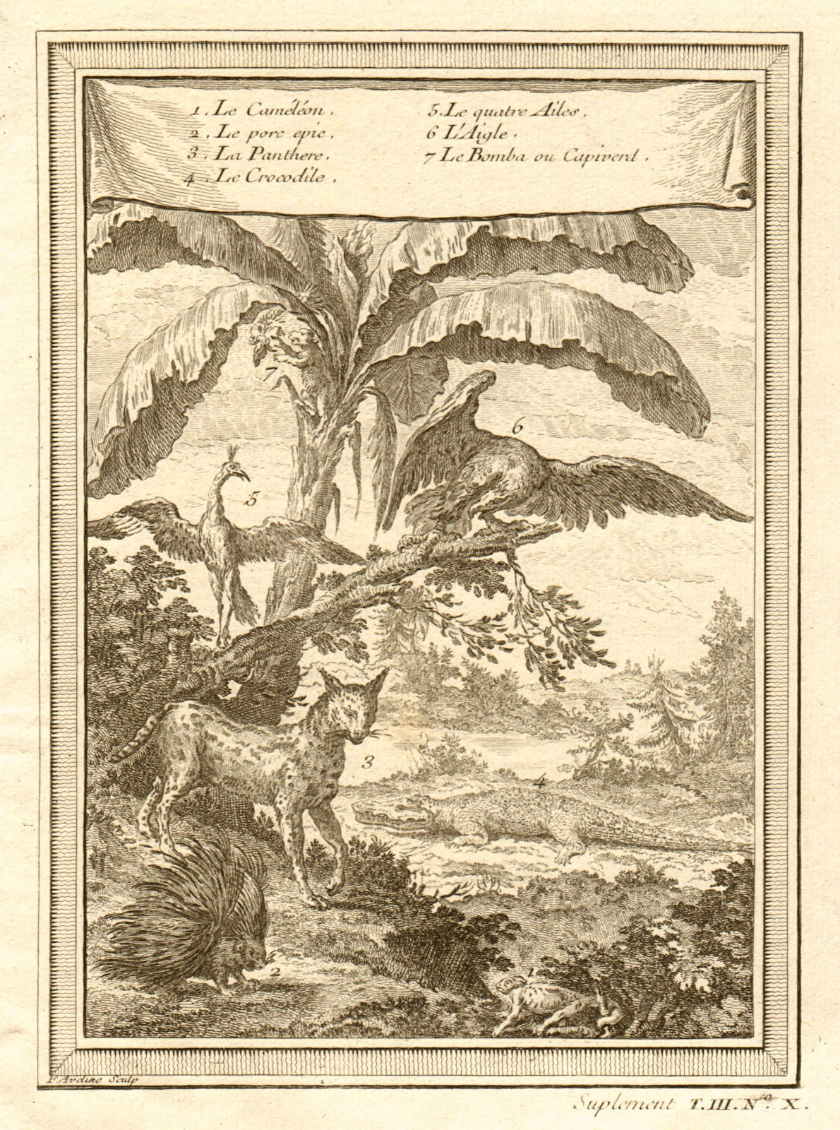 Africa. Chameleon Porcupine Panther Crocodile Four Wings Capiverd Eagle 1747